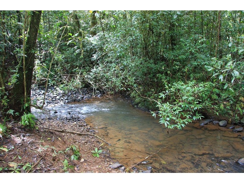 Malanda QLD 4885