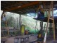 430 Millaa-Malanda Road, Tarzali QLD 4885