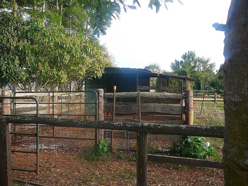 Tolga QLD 4882