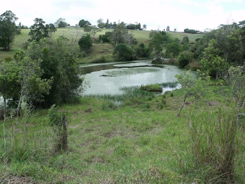 3 EMERSON ROAD, Peeramon QLD 4885
