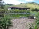 Millaa Millaa QLD 4886