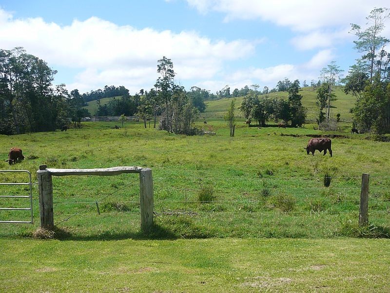 Millaa Millaa QLD 4886