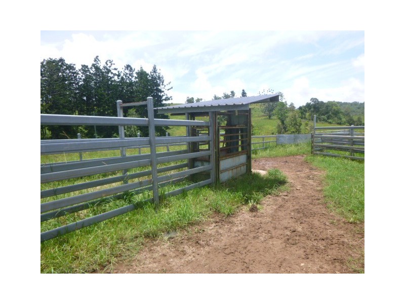 Millaa Millaa QLD 4886