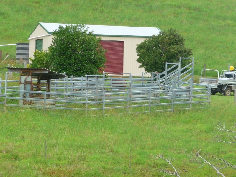 Millaa Millaa QLD 4886