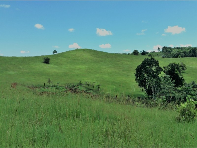 Millaa Millaa QLD 4886