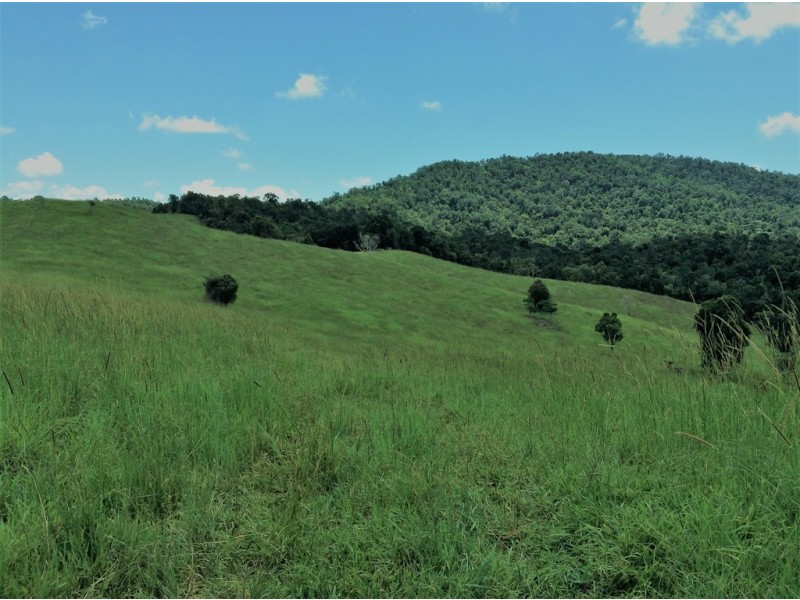 Millaa Millaa QLD 4886