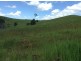 Millaa Millaa QLD 4886