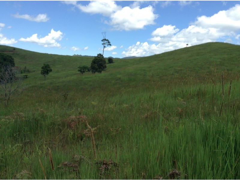 Millaa Millaa QLD 4886