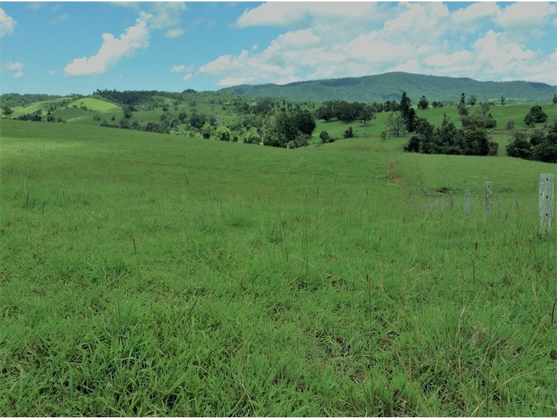 Millaa Millaa QLD 4886