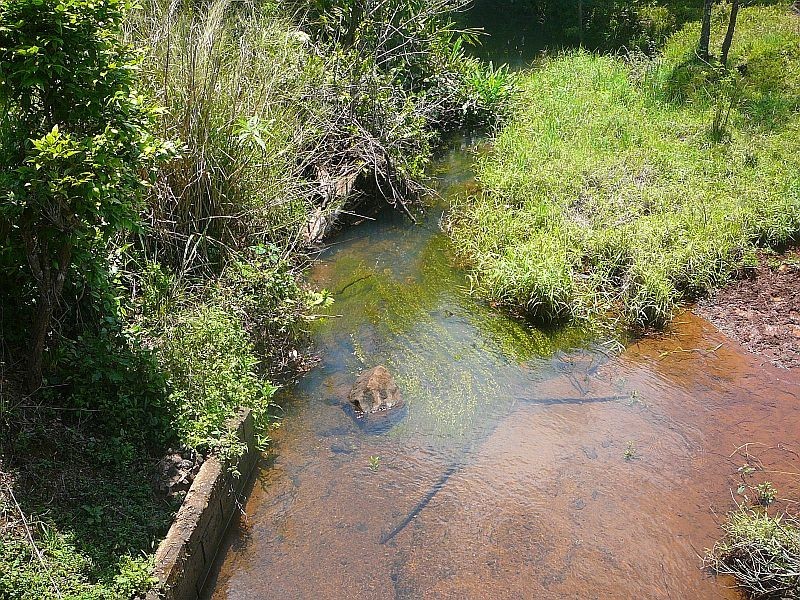 Millaa Millaa QLD 4886