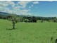 Millaa Millaa QLD 4886