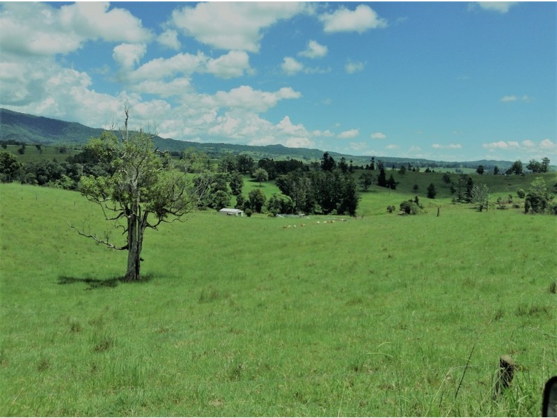 Millaa Millaa QLD 4886