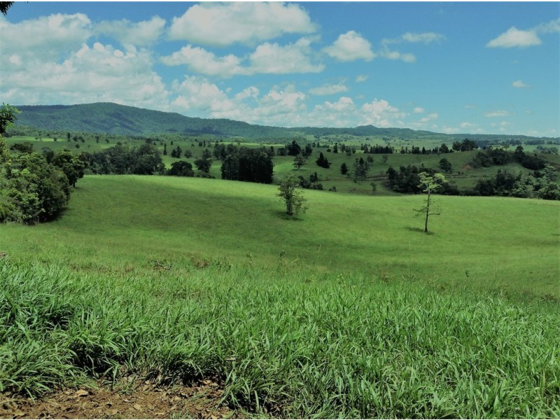 Millaa Millaa QLD 4886