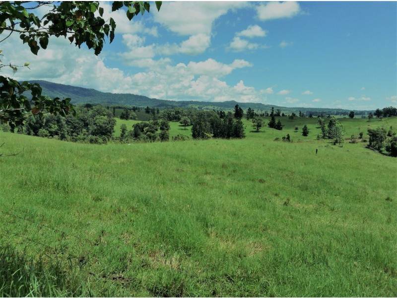 Millaa Millaa QLD 4886