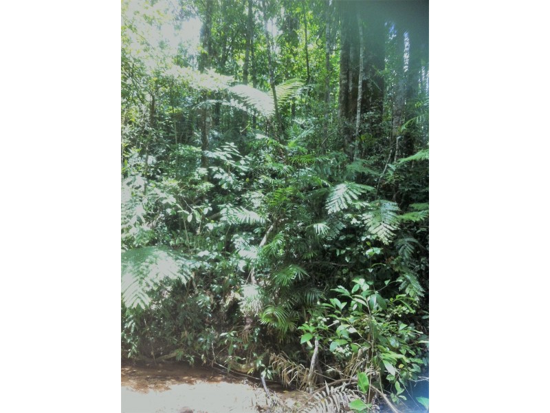 Millaa Millaa QLD 4886