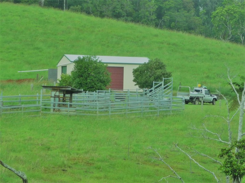 Millaa Millaa QLD 4886