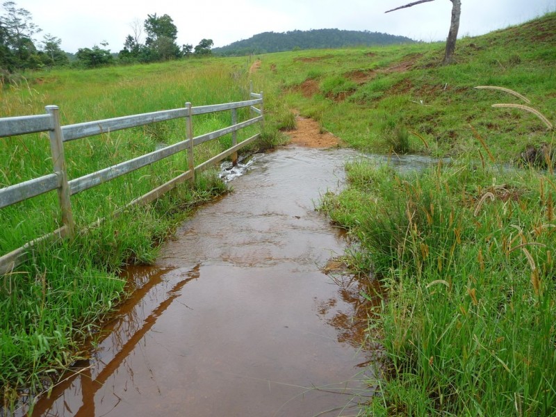 Millaa Millaa QLD 4886