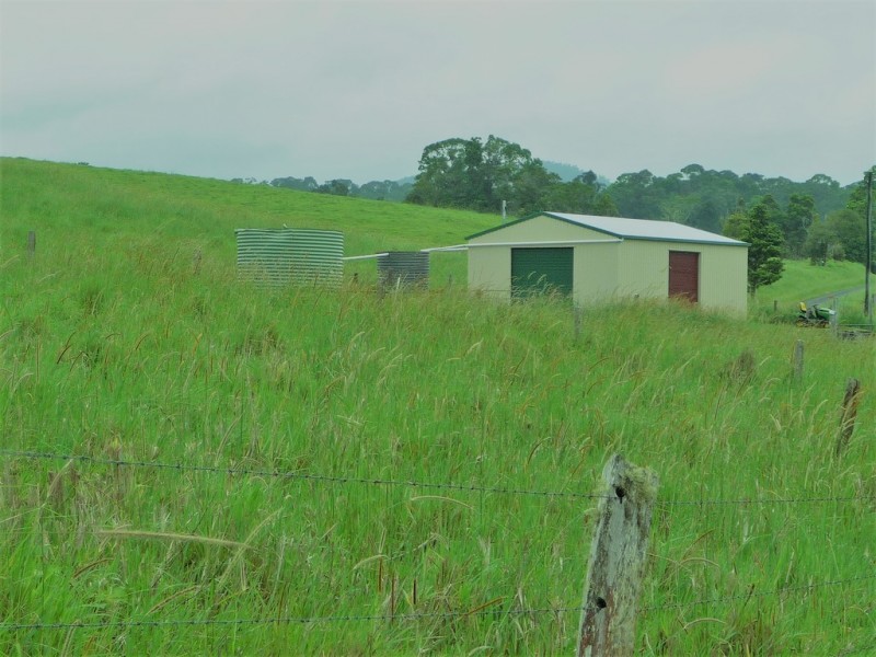 Millaa Millaa QLD 4886