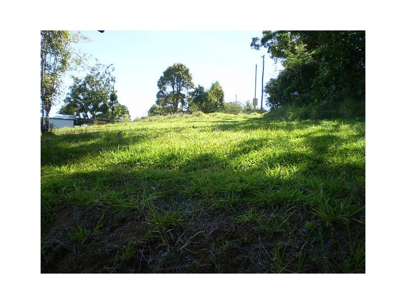 RN 164 Petersen Road, Tarzali QLD 4885