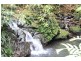 1301 Glen Allyn Rd, Malanda QLD 4885