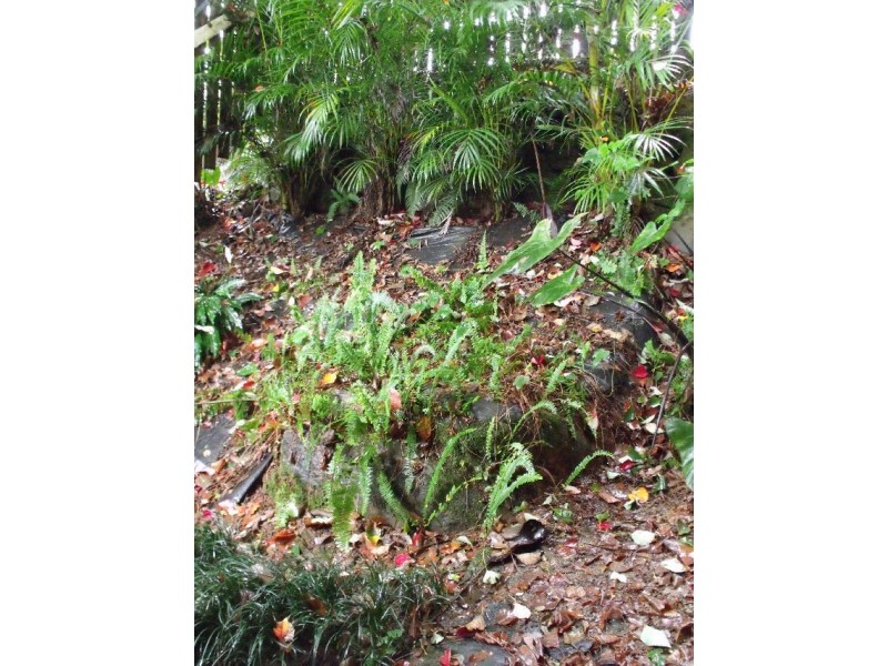 8 Main St, Millaa Millaa QLD 4886
