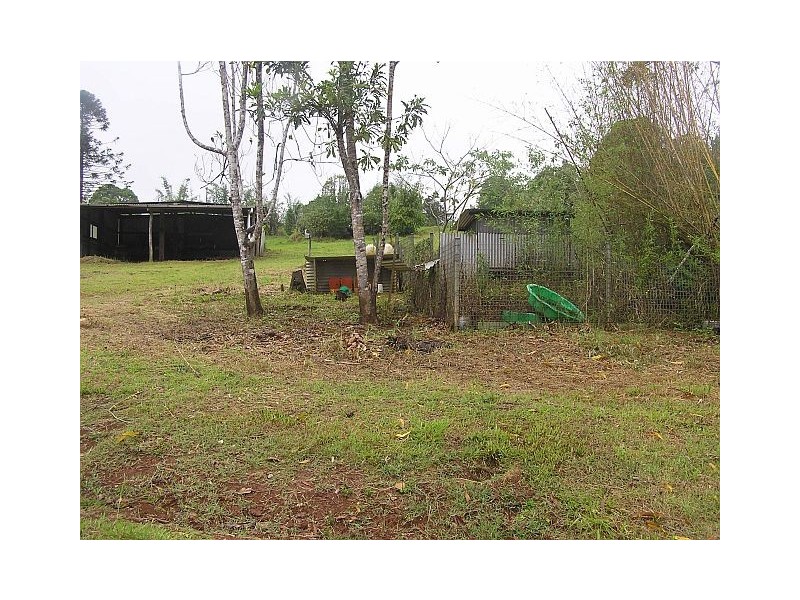 53 Hogan Hosie Rd, Tarzali QLD 4885