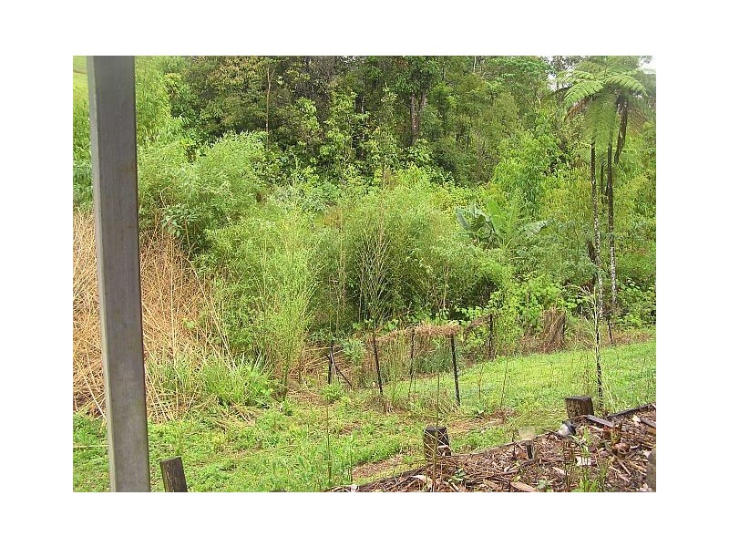 53 Hogan Hosie Rd, Tarzali QLD 4885