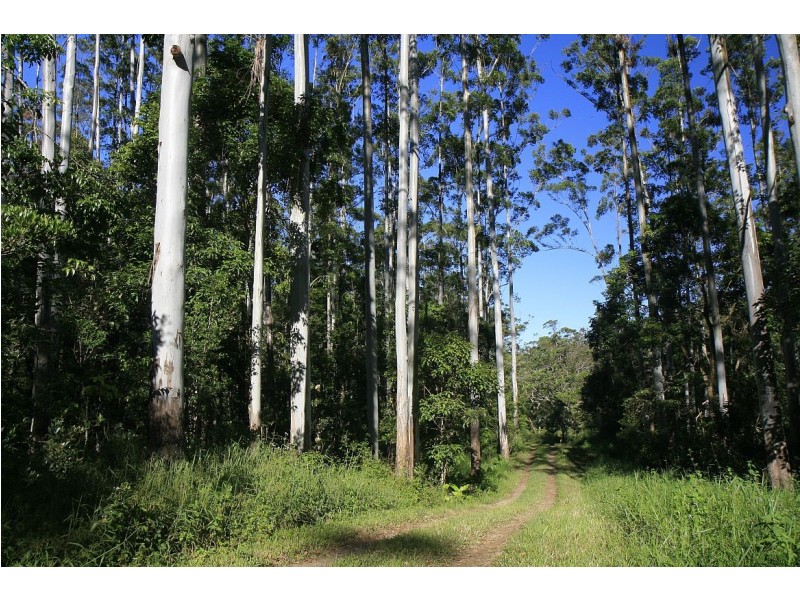 Ravenshoe QLD 4888