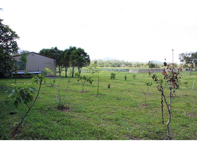 Atherton QLD 4883