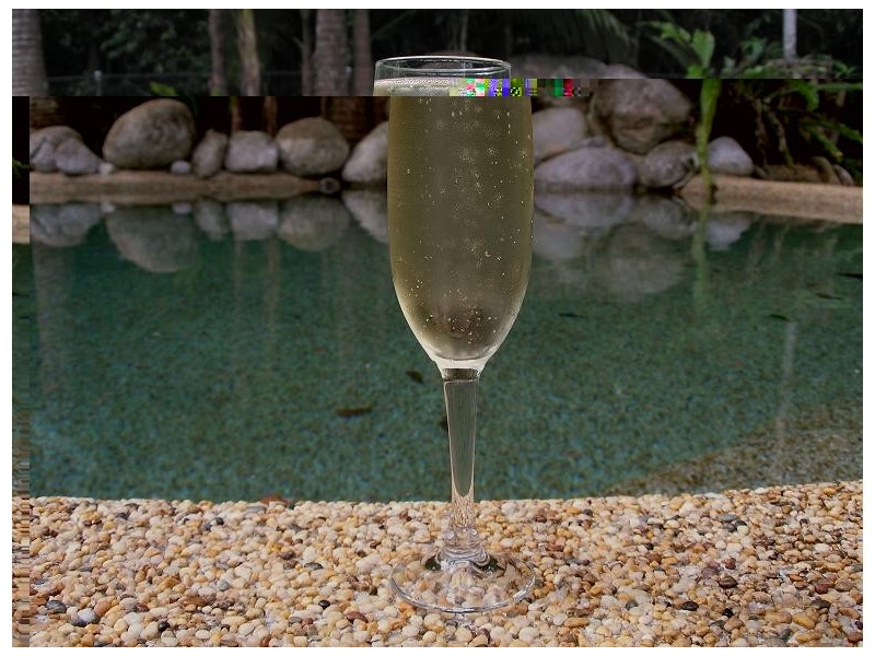 335 Cape Tribulation Rd, Cow Bay QLD 4873