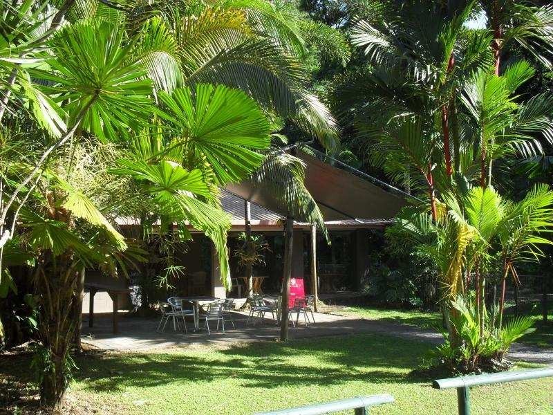 335 Cape Tribulation Rd, Cow Bay QLD 4873