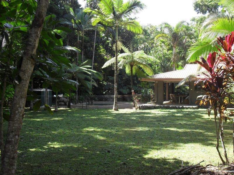 335 Cape Tribulation Rd, Cow Bay QLD 4873