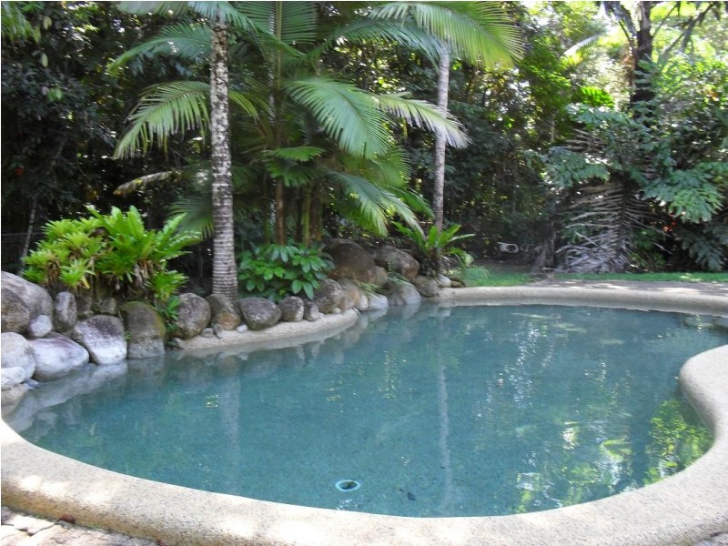 335 Cape Tribulation Rd, Cow Bay QLD 4873