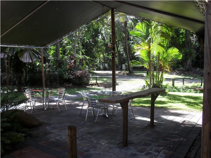 335 Cape Tribulation Rd, Cow Bay QLD 4873