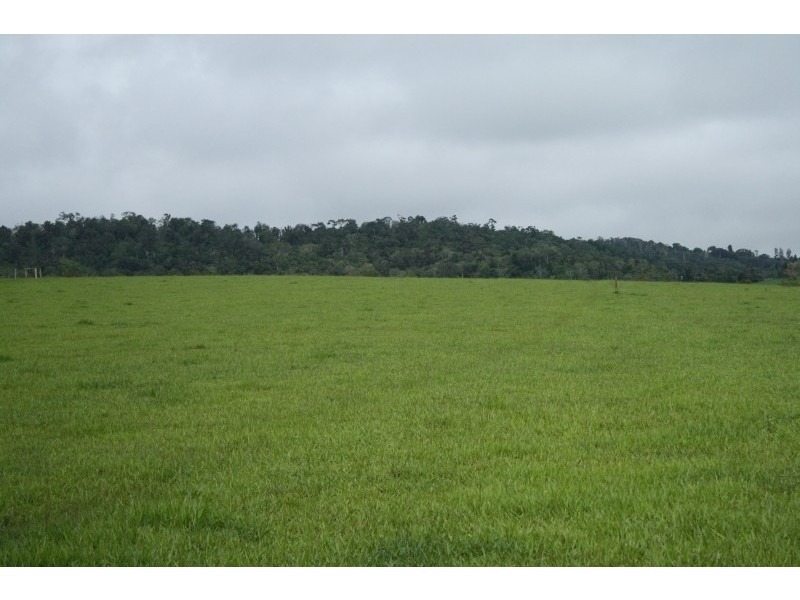 Lot 4 Jallard Road, Yungaburra QLD 4884