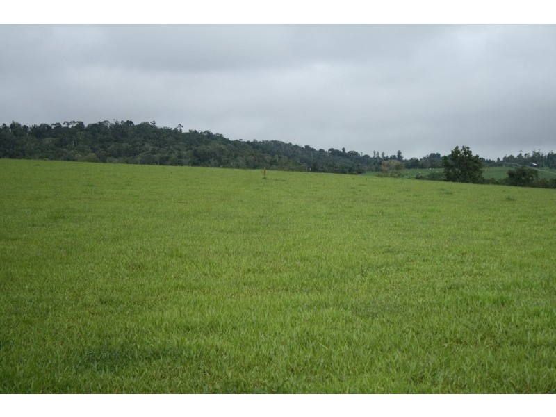 Lot 4 Jallard Road, Yungaburra QLD 4884