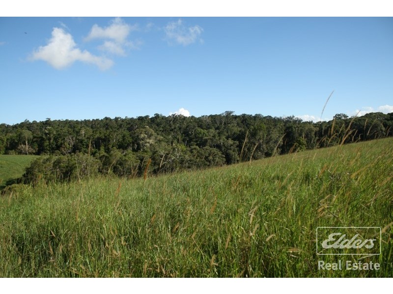 Yungaburra QLD 4884