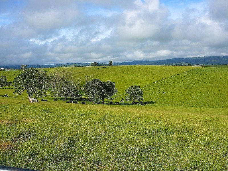 Malanda QLD 4885