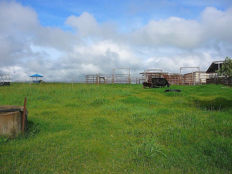 Malanda QLD 4885