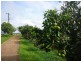 Malanda QLD 4885