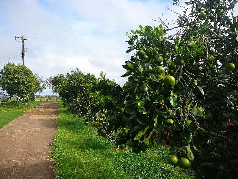 Malanda QLD 4885