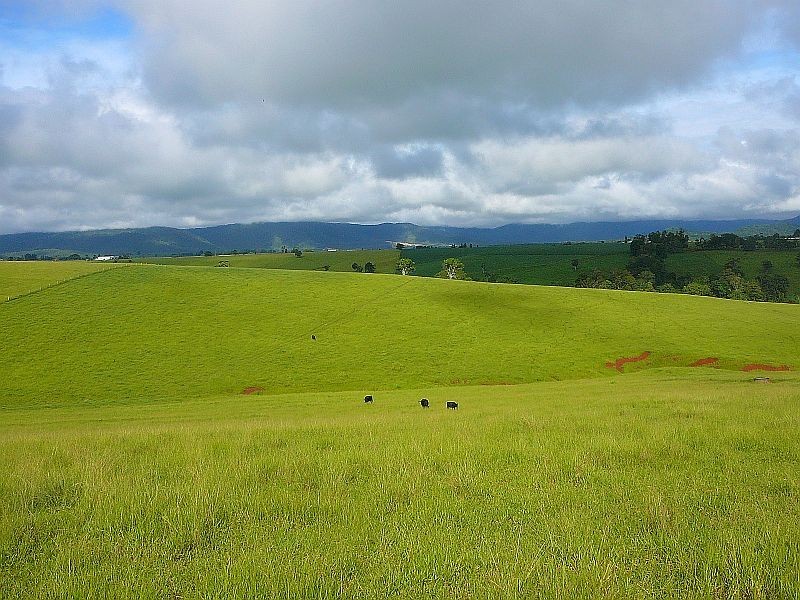 Malanda QLD 4885