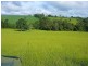Malanda QLD 4885