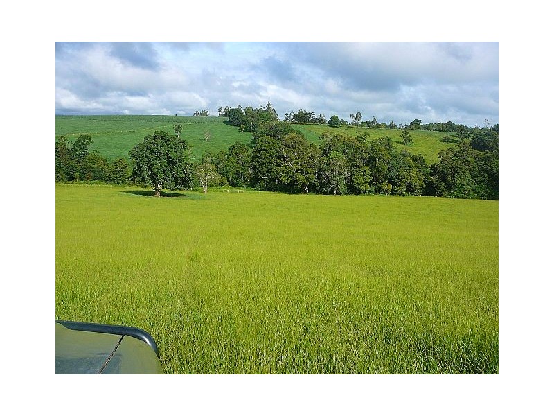 Malanda QLD 4885