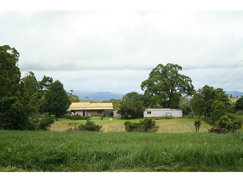 Yungaburra QLD 4884