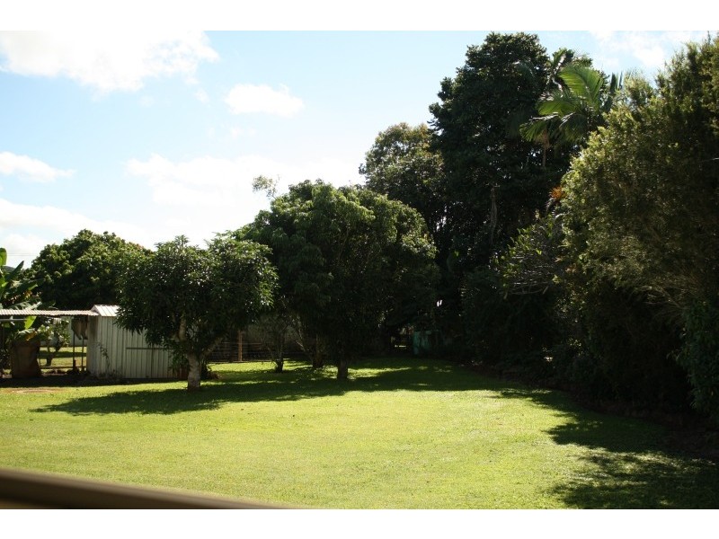 Yungaburra QLD 4884
