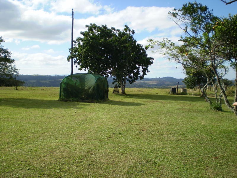 323 Moregatta Road, Millaa Millaa QLD 4886