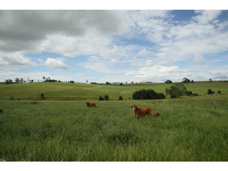 Lot 1 Jallard Road, Yungaburra QLD 4884