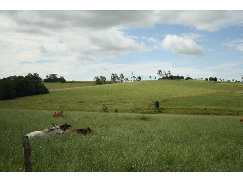 Lot 1 Jallard Road, Yungaburra QLD 4884