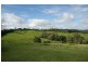 Yungaburra QLD 4884